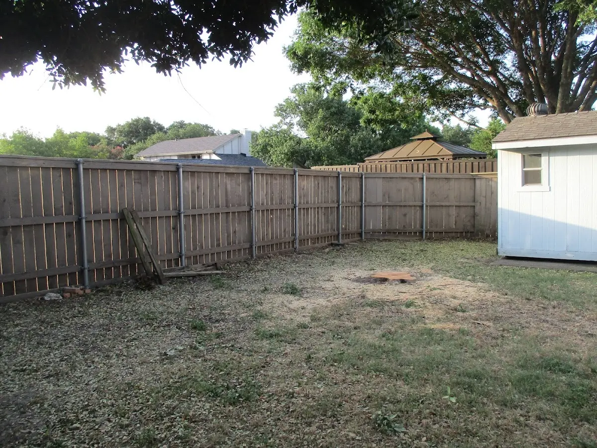 Cleared yard after professional tree removal in Sidnaw